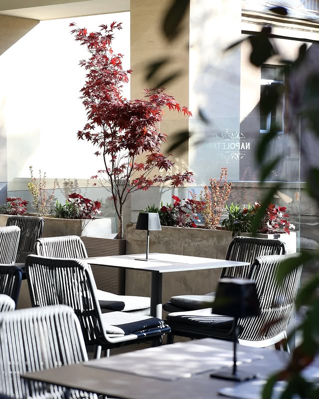 Նեապոլիտանական կենսակերպը